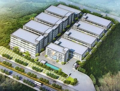 2025年澳门免费原料网