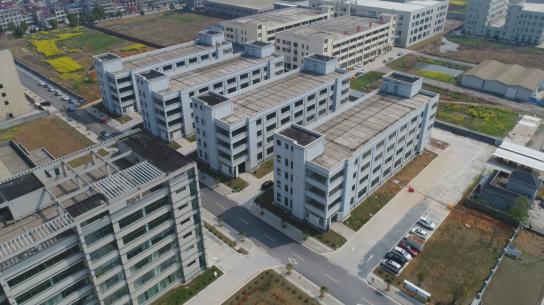 2025年澳门免费原料网