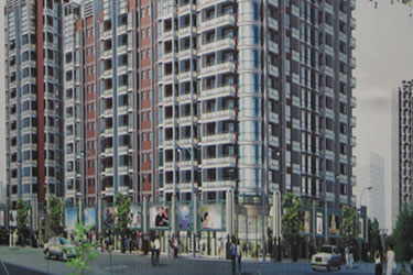 2025年澳门免费原料网