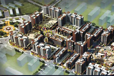 2025年澳门免费原料网