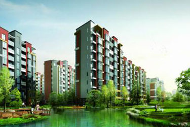 2025年澳门免费原料网