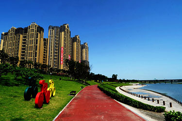 2025年澳门免费原料网