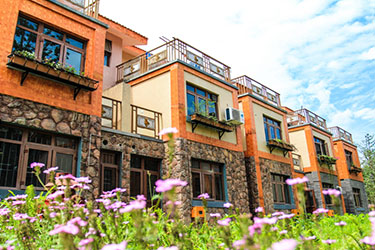 2025年澳门免费原料网