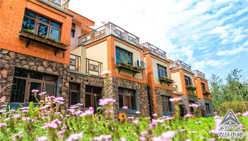 2025年澳门免费原料网