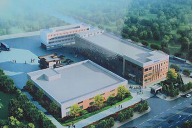 2025年澳门免费原料网