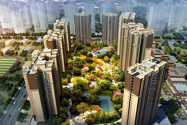 2025年澳门免费原料网