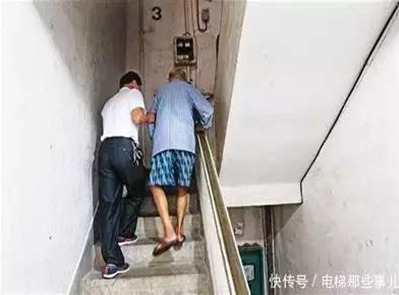 2025年澳门免费原料网