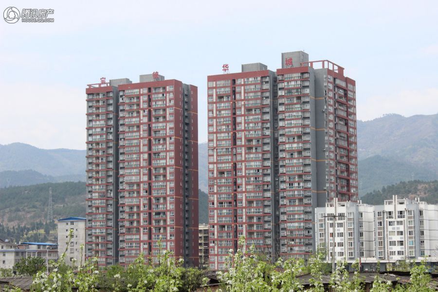 2025年澳门免费原料网