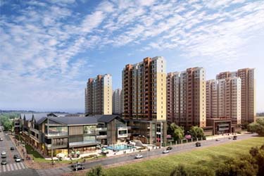 2025年澳门免费原料网