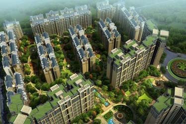 2025年澳门免费原料网