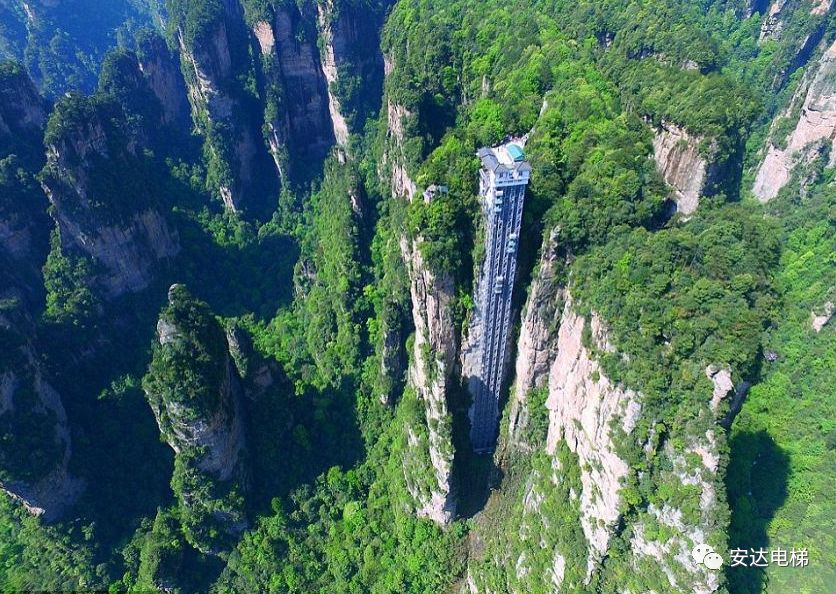 2025年澳门免费原料网