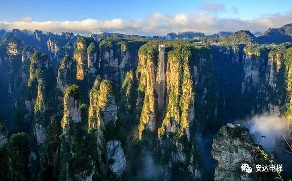 2025年澳门免费原料网