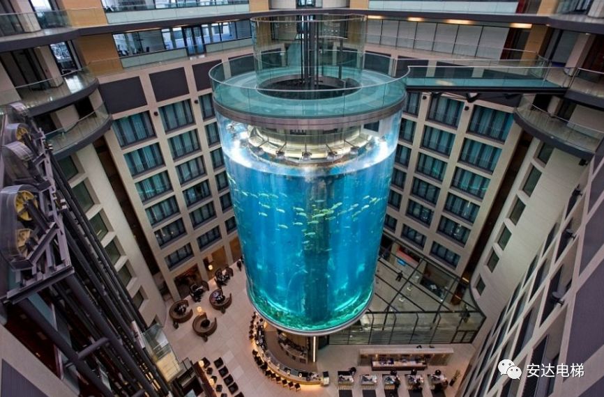 2025年澳门免费原料网