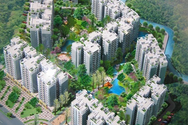 2025年澳门免费原料网