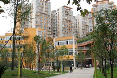 2025年澳门免费原料网