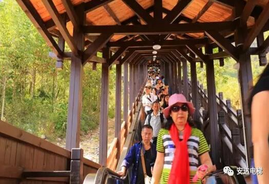 2025年澳门免费原料网