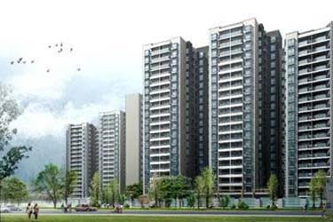 2025年澳门免费原料网