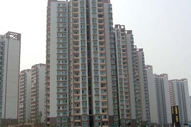 2025年澳门免费原料网