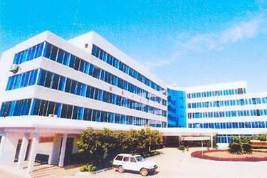 2025年澳门免费原料网