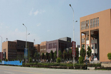 2025年澳门免费原料网