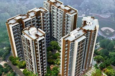 2025年澳门免费原料网