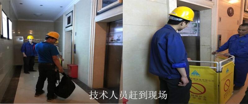 2025年澳门免费原料网