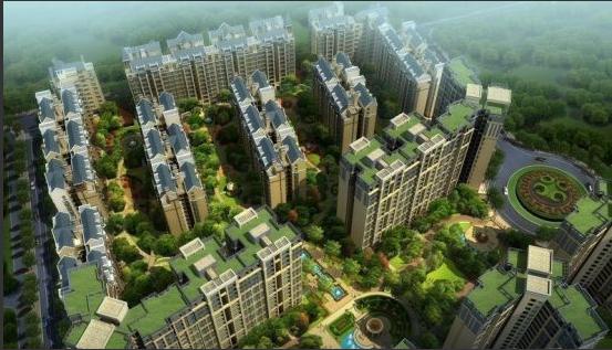 2025年澳门免费原料网