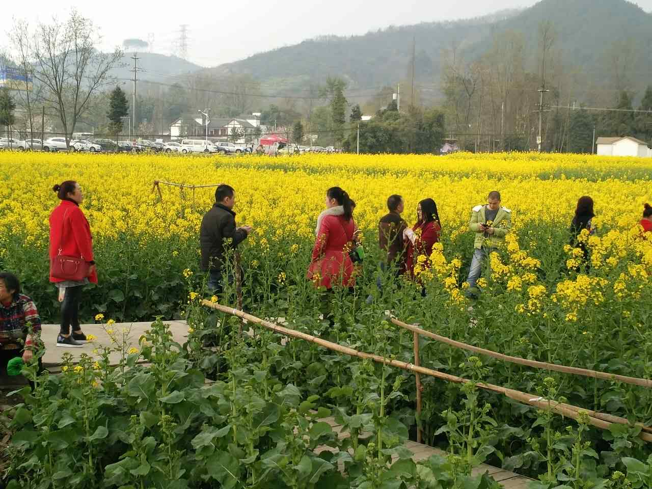 2025年澳门免费原料网