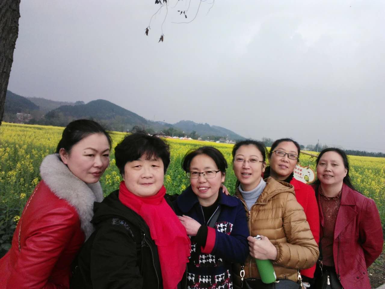 2025年澳门免费原料网