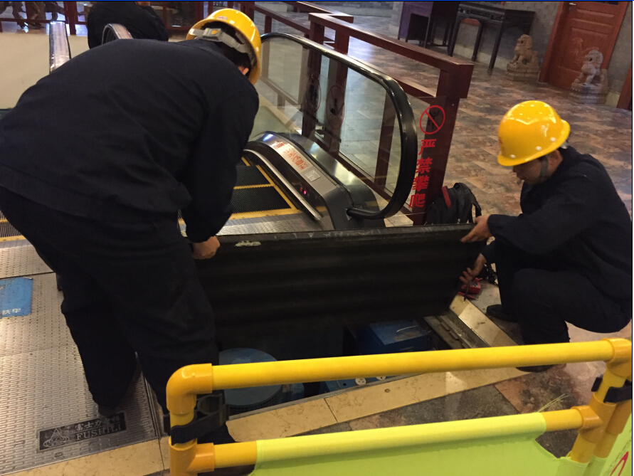 2025年澳门免费原料网