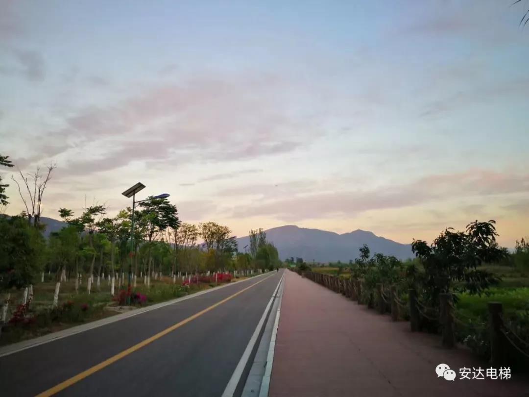 2025年澳门免费原料网