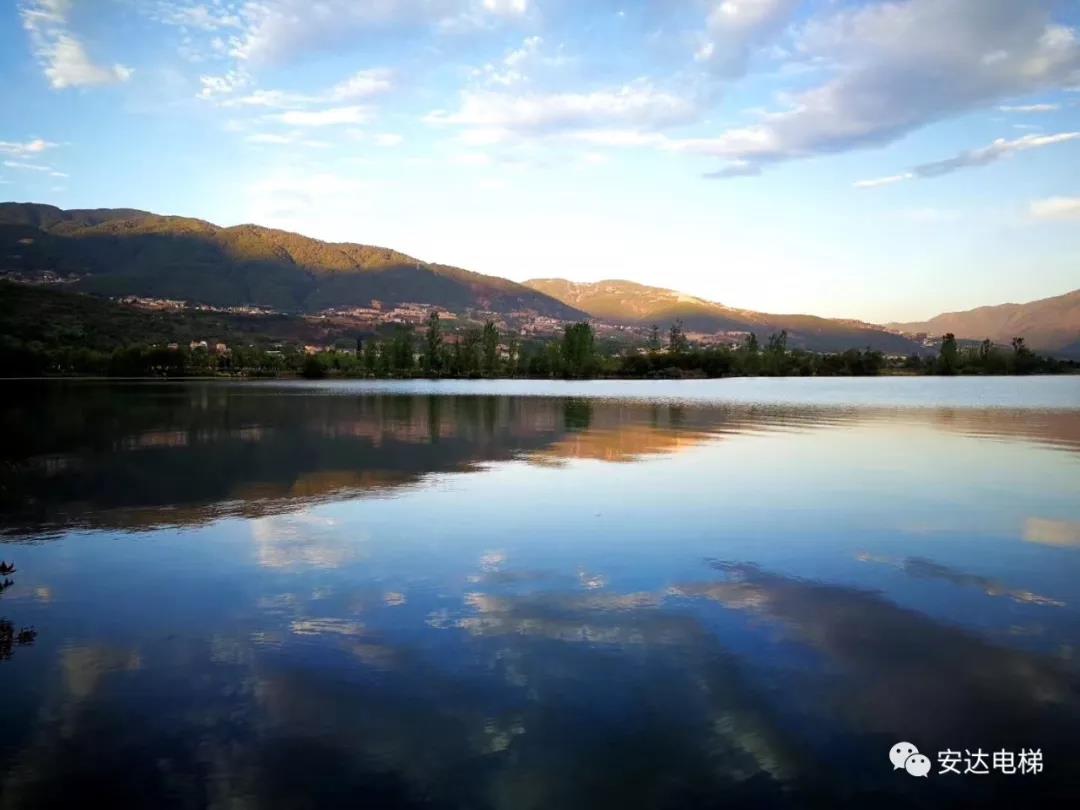 2025年澳门免费原料网