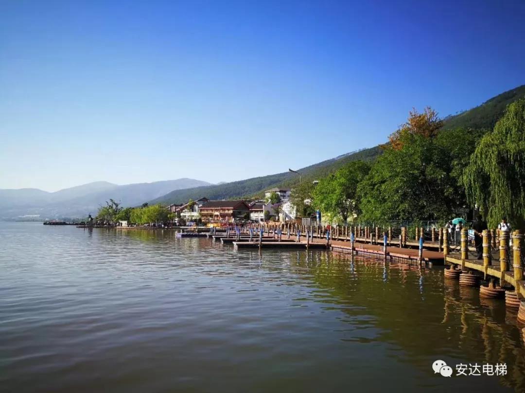 2025年澳门免费原料网