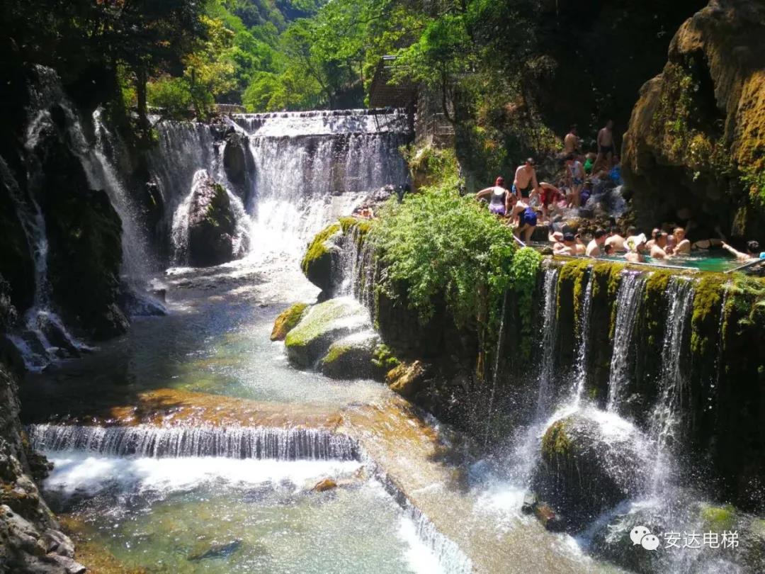 2025年澳门免费原料网