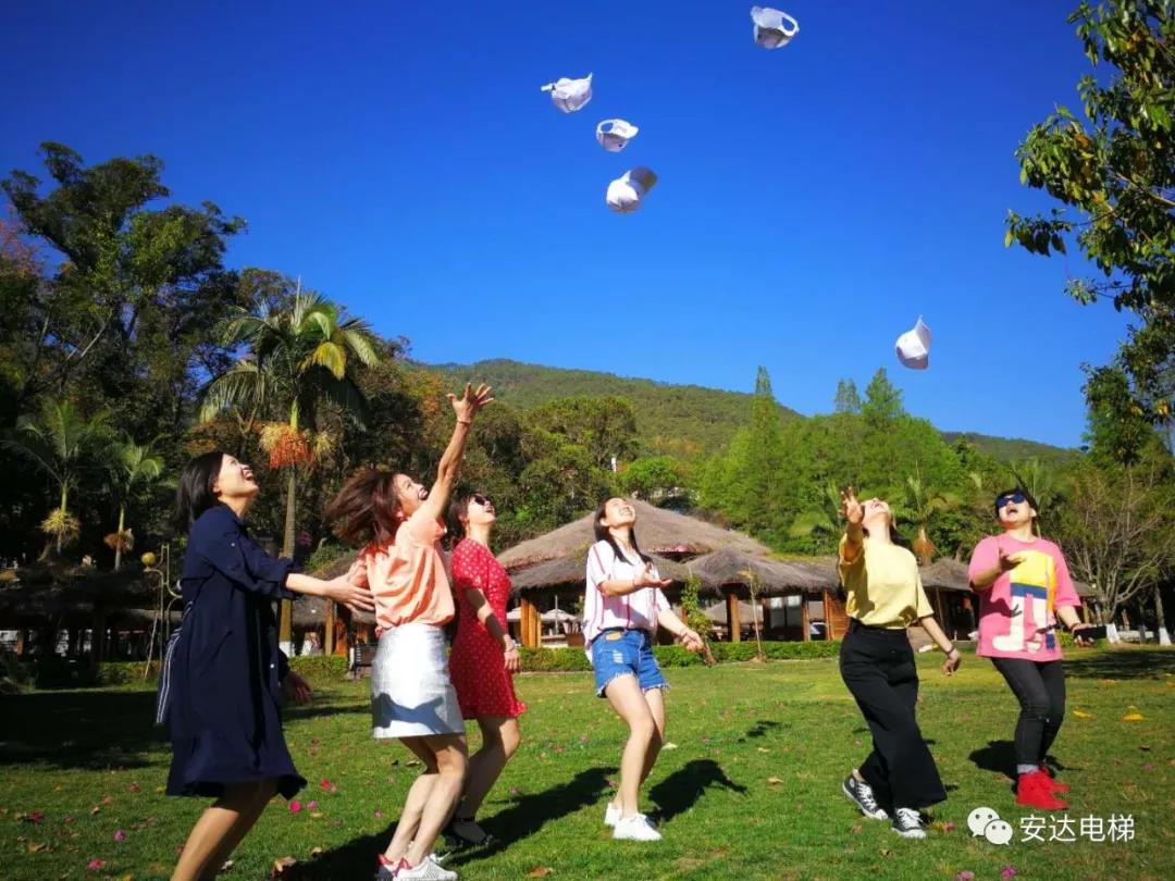 2025年澳门免费原料网