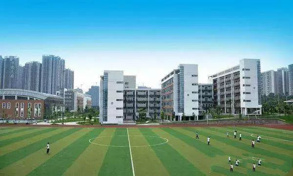 2025年澳门免费原料网