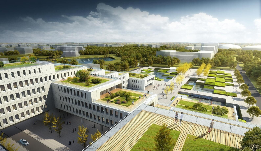 2025年澳门免费原料网