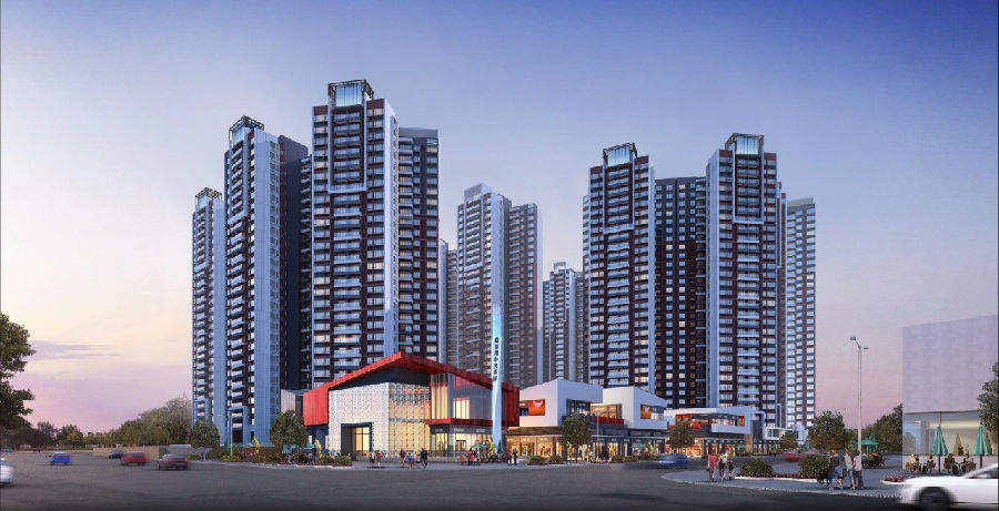 2025年澳门免费原料网