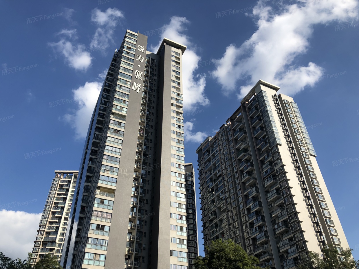 2025年澳门免费原料网