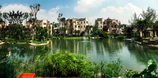 2025年澳门免费原料网