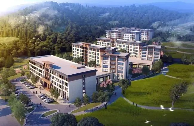 2025年澳门免费原料网