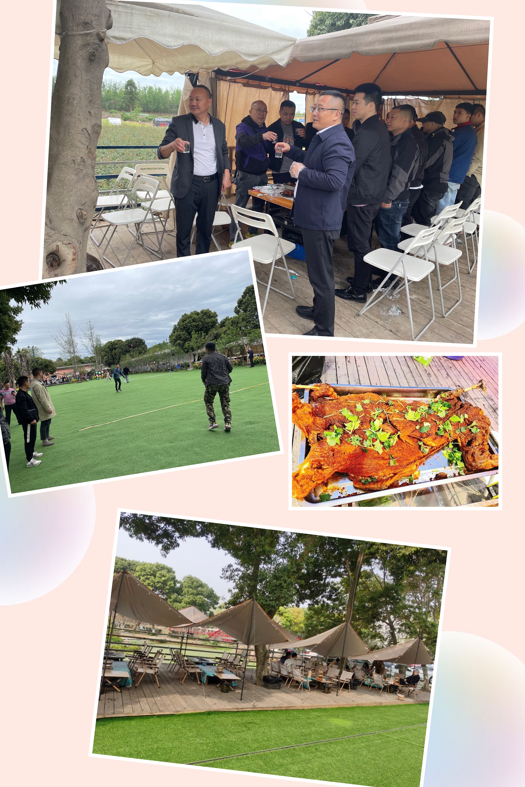 2025年澳门免费原料网